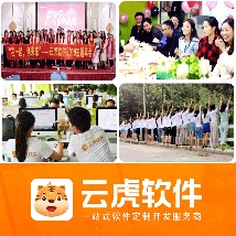 软件开发_管理系统开发_定制开发 - 云虎软件