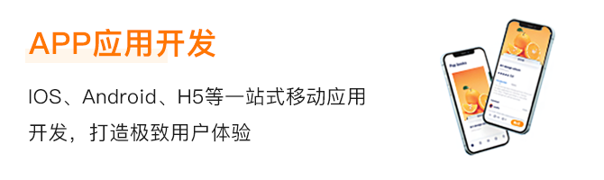 APP定制开发关键功能与特点解析