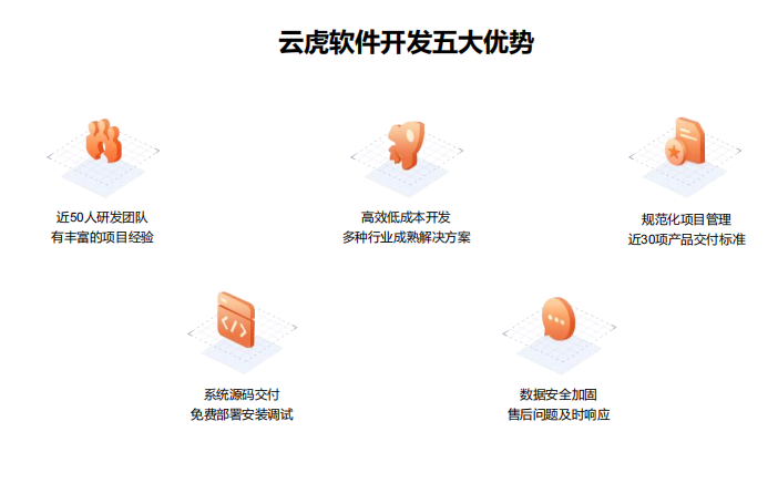 企业级软件定制化解决方案的核心优势与市场竞争力