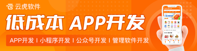 云虎软件APP开发计划与实施策略