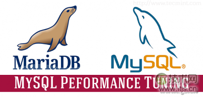 MySQL数据库性能优化完全指南：提升查询速度的关键策略