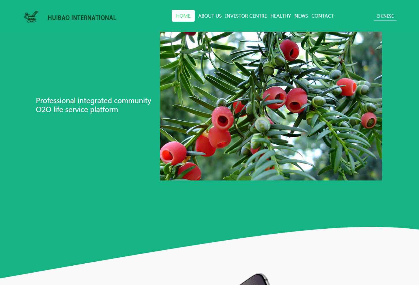 全英文网站建设案例分析，打造简约大气的国际化网站