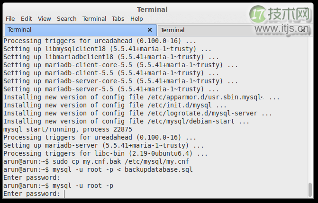 MySQL到MariaDB数据库迁移完整教程，详细步骤指南