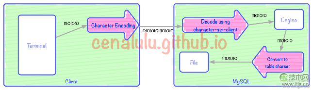10分钟学会理解和解决MySQL乱码问题