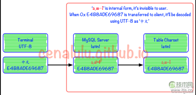 10分钟学会理解和解决MySQL乱码问题