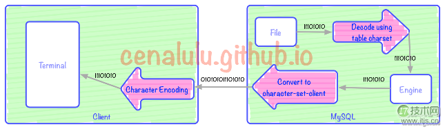 10分钟学会理解和解决MySQL乱码问题