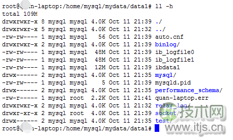 MySQL单机多实例配置详解及主从复制搭建完整教程