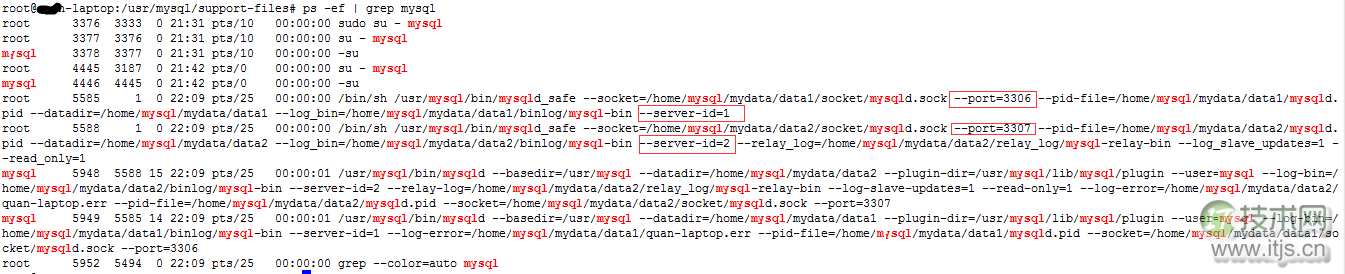 MySQL单机多实例配置详解及主从复制搭建完整教程
