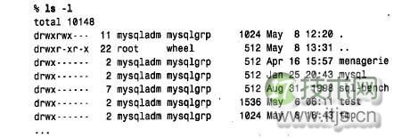 MySQL安全防护指南：如何防范内外部攻击与数据泄露