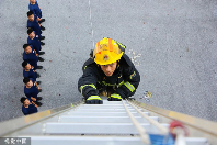 夏日视觉盛宴：镜头下的城市与自然交响曲