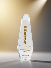 宇电温控科技获评精英合作伙伴，展现半导体温控技术实力