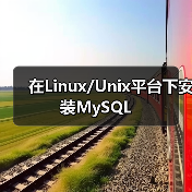 Linux下MySQL二进制安装全攻略：步骤详解