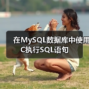 MySQL C接口执行SQL语句及结果处理详解