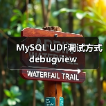 无需调试器的Windows UDF调试技巧解析 无需调试器的Windows UDF调试技巧解析