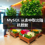 MySQL随机查询实现方法与性能优化技巧 MySQL随机查询实现方法与性能优化技巧