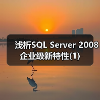 浅析SQL Server 2008企业级新特性(1) 浅析SQL Server 2008企业级新特性(1)