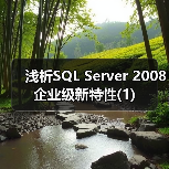浅析SQL Server 2008企业级新特性(1) 浅析SQL Server 2008企业级新特性(1)