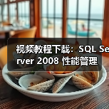 SQL Server 2008性能优化实战指南