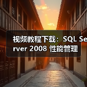 SQL Server 2008性能优化实战指南