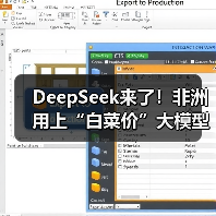 深度解析DeepSeek如何重塑非洲AI创业生态