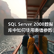 SQL Server 2008数据库中如何使用表值参数(1)