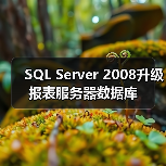 SQL Server 2008升级报表服务器数据库