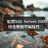 数据一体化开发平台助力高效应用构建