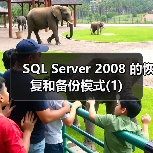 SQL Server事务日志与恢复模式配置详解 SQL Server事务日志与恢复模式配置详解