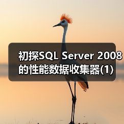 SQL Server性能数据收集器:集中存储与高级分析工具 SQL Server性能数据收集器:集中存储与高级分析工具