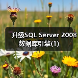 SQL Server 2008升级指南：数据库引擎升级步骤与注意事项
