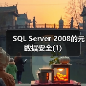 SQL Server 2008的元数据安全(1)