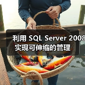 利用 SQL Server 2008 实现可伸缩的管理 利用 SQL Server 2008 实现可伸缩的管理