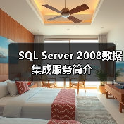 SQL Server 2008数据集成服务简介 SQL Server 2008数据集成服务简介