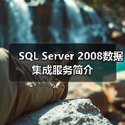 SQL Server 2008数据集成服务简介 SQL Server 2008数据集成服务简介