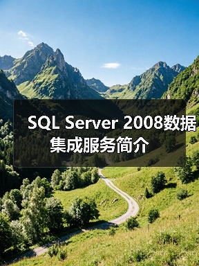 SQL Server 2008数据集成服务简介 SQL Server 2008数据集成服务简介