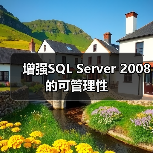 增强SQL Server 2008的可管理性