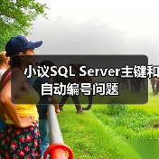 小议SQL Server主键和自动编号问题