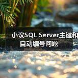 小议SQL Server主键和自动编号问题