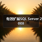 有效扩展SQL Server 2008