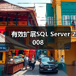 有效扩展SQL Server 2008