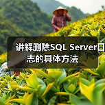 讲解删除SQL Server日志的具体方法 讲解删除SQL Server日志的具体方法