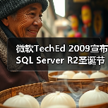 微软SQL Server 2008 R2商业智能特性解析