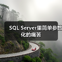SQL Server自动参数化副作用与执行计划缓存优化