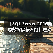 【SQL Server 2016动态数据屏蔽入门】定义屏蔽 【SQL Server 2016动态数据屏蔽入门】定义屏蔽