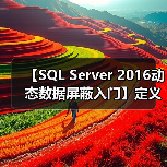 【SQL Server 2016动态数据屏蔽入门】定义屏蔽 【SQL Server 2016动态数据屏蔽入门】定义屏蔽