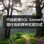 代码调用SQL Server代理任务的两种实现方式 代码调用SQL Server代理任务的两种实现方式