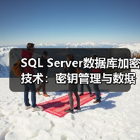 SQL Server数据库加密技术:密钥管理与数据安全全解析 SQL Server数据库加密技术:密钥管理与数据安全全解析