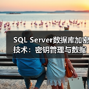 SQL Server数据库加密技术：密钥管理与数据安全全解析