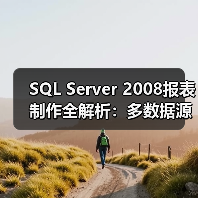 SQL Server 2008报表制作全解析：多数据源整合与高效技巧