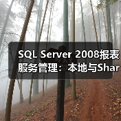 SQL Server 2008报表服务管理：本地与SharePoint模式对比